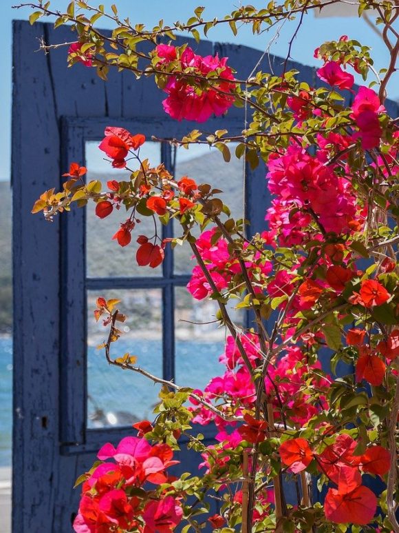 Els apartaments turístics gironins inicien la temporada amb millors perspectives d’ocupació de les que s’esperaven